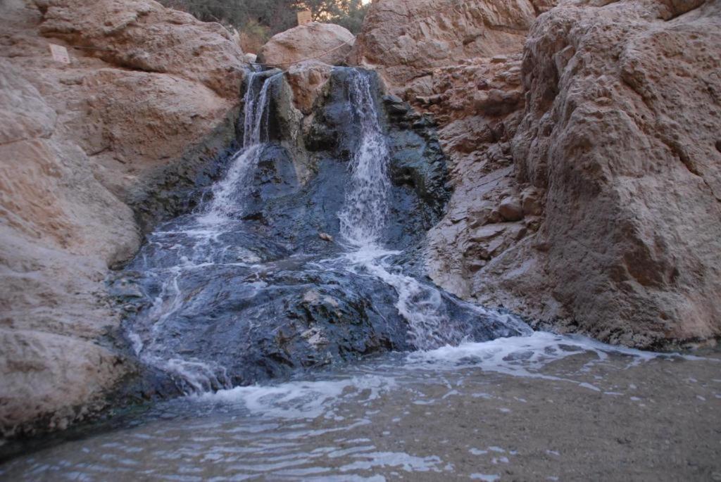 Ein Gedi Rooms Неве Зохар Екстериор снимка