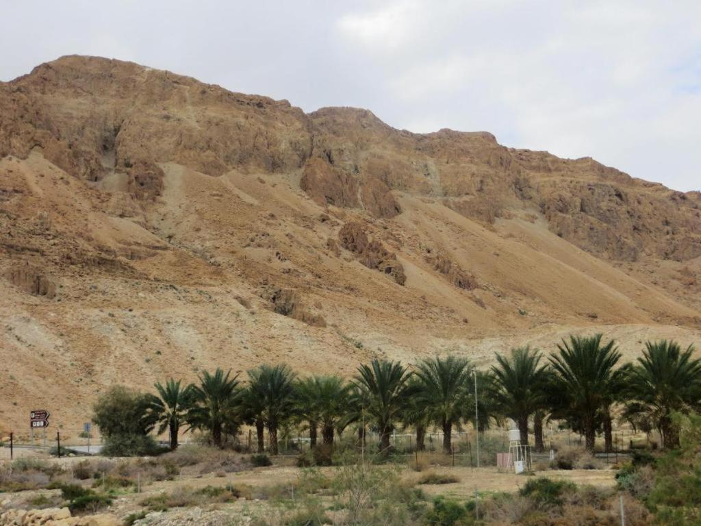 Ein Gedi Rooms Неве Зохар Екстериор снимка
