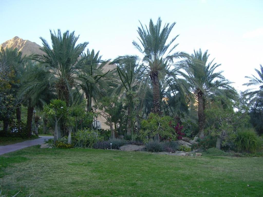 Ein Gedi Rooms Неве Зохар Екстериор снимка